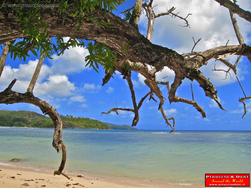 SEYCHELLES - 635 - Mahe, Anse Boileau.jpg